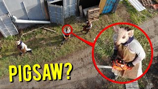 DRONE CATCHES PIGSAW AT ABANDONED FARM THEY CAME AFTER US [upl. by Eterg]