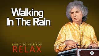 Walking In The Rain  Pandit Shivkumar Sharma  Spa SpecialMusic to Help You Relax  Music Today [upl. by Akinahs289]