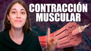 ¿Cómo funciona la CONTRACCIÓN MUSCULAR y qué significa LA HIPERACTINA [upl. by Cummins17]