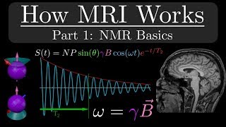 How MRI Works  Part 1  NMR Basics [upl. by Bloem]