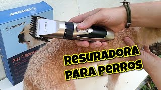 Pet Clipper stardom  Maquina para Perros  Como usar  Es Buena [upl. by Bil473]