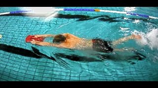 Front Crawl Kick Basics [upl. by Theodoric550]