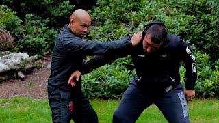 Difference between tai chi and wing chun [upl. by Halley]