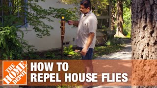 How to Keep Flies Away and Prevent Flies in Your House [upl. by Casabonne]