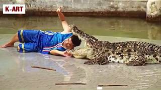 Aggressive crocodiles on attack mode as stuntman places head and arm inside their jaws [upl. by Ynnel737]