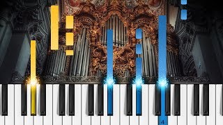 Bach  Toccata and Fugue in D Minor  ORGAN Tutorial [upl. by Enelym]