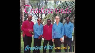 The Tradewinds  Greatest Hits Vol 2 FULL ALBUM 1984 [upl. by Nnaycnan647]