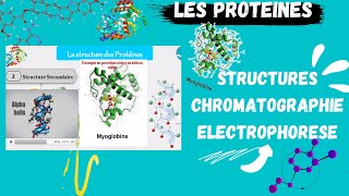 📣 Proteins Structures Techniques de séparation Chromatography Electroporesis اقوى شرح للبروتينات [upl. by Halla]