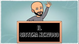 Il Sistema nervoso [upl. by Warp]