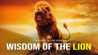 Wisdom Of The Lion  Powerful Motivational Video [upl. by Pickford]