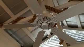 42quot One 52quot Harbor Breeze Calera I II amp III Ceiling Fans in a Clothing Store [upl. by Detta]