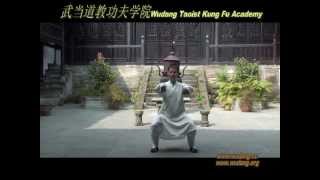 Wudang Sanfeng 18 Taijiquan [upl. by Anaitsirhc7]