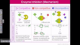 Enzyme inhibition [upl. by Kunin30]