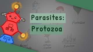 Parasites Protozoa classification structure life cycle [upl. by Cuthburt]