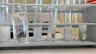 Qualitative analysis of cations part 2 [upl. by Adnahcir]