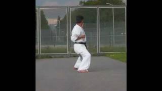 Bassai Dai kyokushin kata 抜塞大 [upl. by Annayad463]