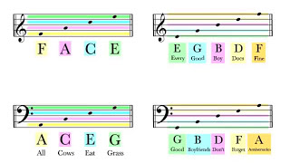 How To Read Notes On The Staff  EASY  Music Theory Tutorial [upl. by Donica307]