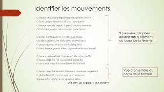 Découvrir la poésie à double sens 2  Du Bellay Les Regrets sonnet 91  bac de français [upl. by Yaron]