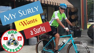 My Surly Wants A Surly Review of the 2019 Surly Bridge Club [upl. by Omixam724]