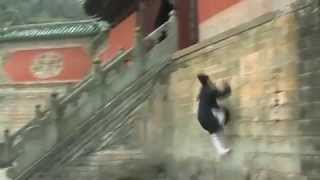 Wudang Qing Gong  Lightness Skills 武当轻功 [upl. by Bezanson]