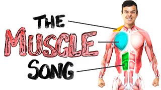 The Muscle Song Memorize Your Anatomy  SCIENCE SONGS [upl. by Strage]