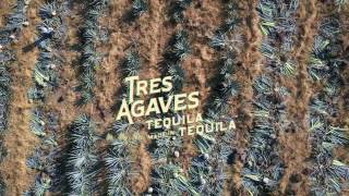 Tres Agaves 100 de Agave Tequila [upl. by Duntson]