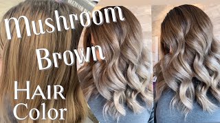 MUSHROOM BROWN HAIR TREND  Formulation For The Perfect Ashy Brown [upl. by Obie]