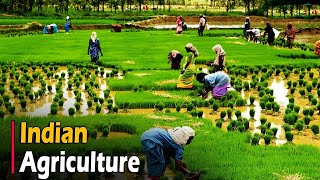 AGRICULTURE IN INDIA  Documentary [upl. by Moneta712]