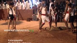 Martial Arts Performance  Kalaripayattu [upl. by Durant]