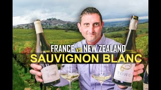 France vs New Zealand Sauvignon Blanc Wine [upl. by Grim]