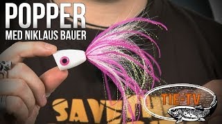 Tie TV  Popper  Niklaus Bauer [upl. by Animar]