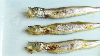 HEAD TO TAIL EATING  GRILLED CAPELIN FISH WITH ROE RECIPE  Cooking with Chef Dai [upl. by Cianca]