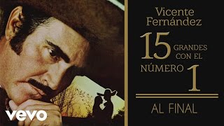 Vicente Fernández  Al Final Tema Remasterizado Cover Audio [upl. by Odranreb]