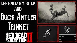 RDR2 Legendary Buck and Buck Antler Trinket guide  Improve pelt quality  Red Dead Redemption 2 [upl. by Otter]