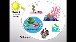 Lecosistema  scuola primaria [upl. by Emalia]