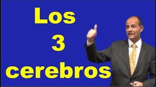 Los 3 cerebros Neurociencia [upl. by Lotsyrc]