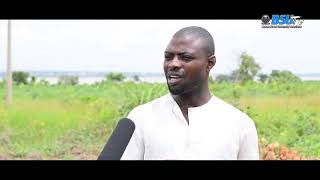 VEGETABLE farming in Makurdi Nigeria [upl. by Cerell]