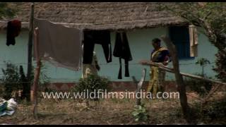 Life in Rural India [upl. by Ellemaj]