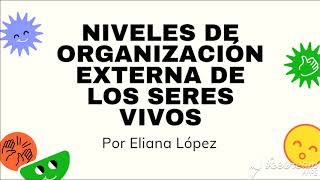 Niveles de organización externa de los seres vivos individuo población comunidad y ecosistema [upl. by Leigha]