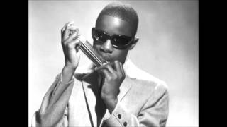 Stevie Wonders Harmonica Solo 1985 Eurythmics  There Must Be An Angel [upl. by Petronella493]