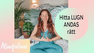 ANDAS  hitta lugn på 5 min meditation mindfulness [upl. by Sifan]