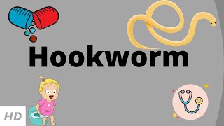 Hookworm Causes Signs and Symptoms Diagnosis and Treatment [upl. by Cia]