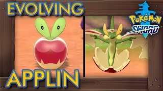 Pokémon Sword amp Shield  How to Evolve Applin into FlappleAppletun [upl. by Marpet]