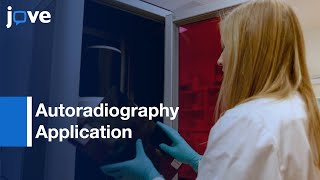 Autoradiography Application [upl. by Malanie756]