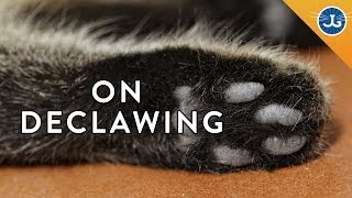 Declawing Jackson Galaxy Just Says No [upl. by Balas702]