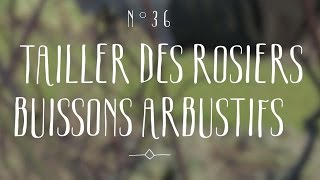 Taille des rosiers buissons arbustifs [upl. by Oht]