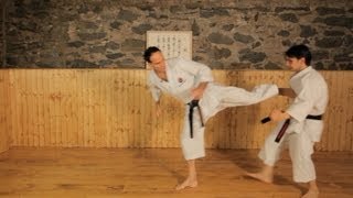 How to Do Side Kicks  Karate Lessons [upl. by Nanah]