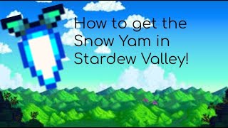 How to get a snow yam in Stardew Valley [upl. by Davine]