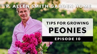 Peonies  Growing Tips amp FAQ Garden Home VLOG 2019 4K [upl. by Brenk]