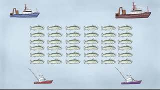 Fisheries Economics amp Policy Intro to Fisheries Management [upl. by Ashti]